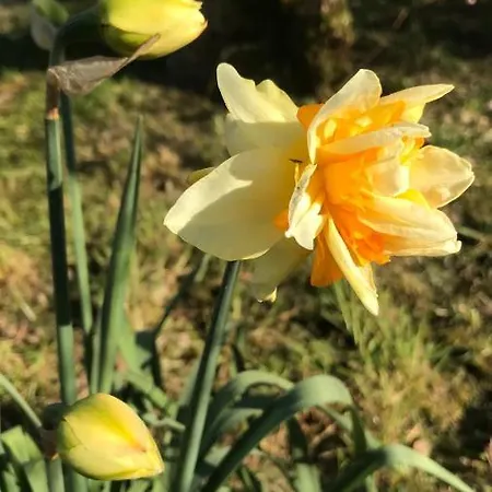 De L'homme Blanc 펜션 Soizy-aux-Bois