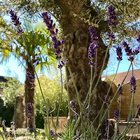 De L'homme Blanc * Soizy-aux-Bois