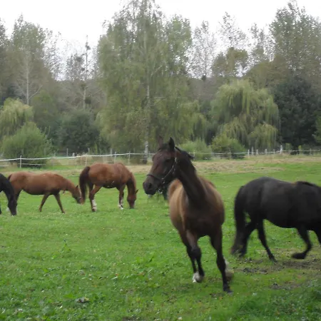 펜션 De L'homme Blanc Soizy-aux-Bois