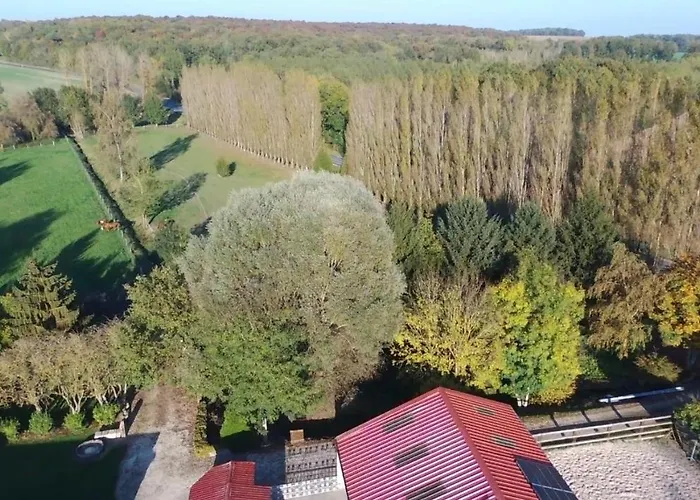 De L'homme Blanc * Soizy-aux-Bois