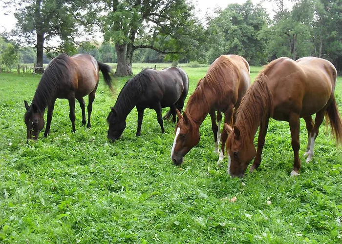 De L'homme Blanc Ferienhaus *